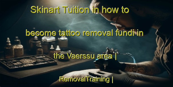 Skinart Tuition in how to become tattoo removal fundi in the Vaerssu area | RemovalTraining | RemovalClasses | SkinartTraining-Estonia